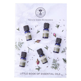 Little Book Of Essential Oils