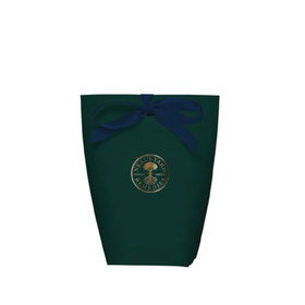 Small Green Pouch With Blue Ribbon