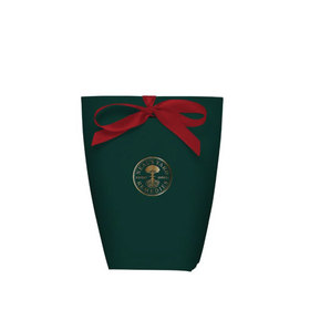 Small Green Pouch With Red Ribbon
